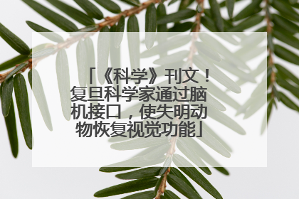 《科学》刊文！复旦科学家通过脑机接口，使失明动物恢复视觉功能