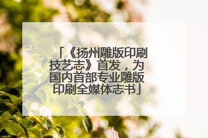 《扬州雕版印刷技艺志》首发，为国内首部专业雕版印刷全媒体志书