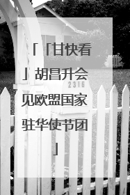 「甘快看」胡昌升会见欧盟国家驻华使节团
