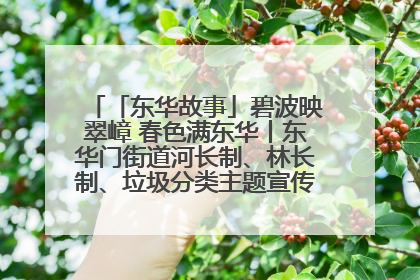 「东华故事」碧波映翠嶂 春色满东华丨东华门街道河长制、林长制、垃圾分类主题宣传如火如荼中