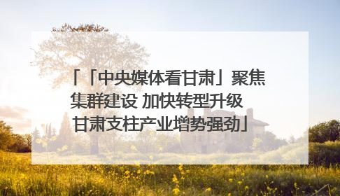 「中央媒体看甘肃」聚焦集群建设 加快转型升级 甘肃支柱产业增势强劲