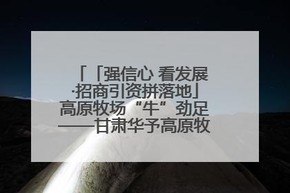 「强信心 看发展·招商引资拼落地」高原牧场“牛”劲足——甘肃华予高原牧场高标准奶牛肉牛养殖项目一线见闻