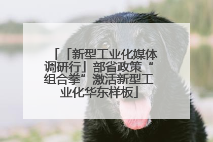 「新型工业化媒体调研行」部省政策“组合拳”激活新型工业化华东样板