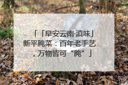 「早安云南·滇味」新平腌菜：百年老手艺，万物皆可“腌”