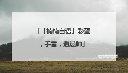 「楠楠自语」彩蛋，手雷，邋遢帅