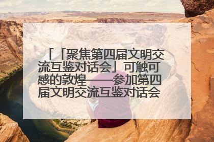 「聚焦第四届文明交流互鉴对话会」可触可感的敦煌——参加第四届文明交流互鉴对话会的外宾参观上元市集