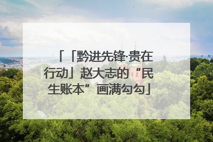 「黔进先锋·贵在行动」赵大志的“民生账本”画满勾勾