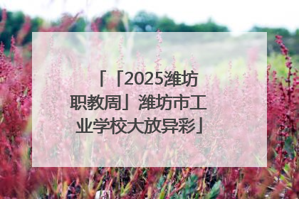「2025潍坊职教周」潍坊市工业学校大放异彩