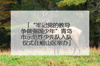 “牢记党的教导 争做强国少年”青岛市示范性少先队入队仪式在崂山区举办