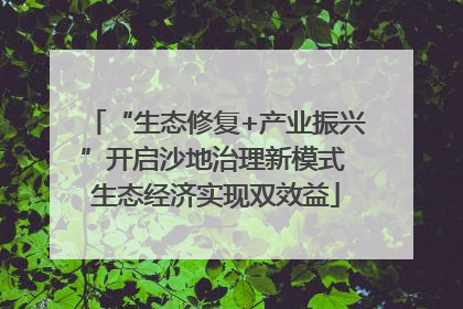 “生态修复+产业振兴”开启沙地治理新模式 生态经济实现双效益