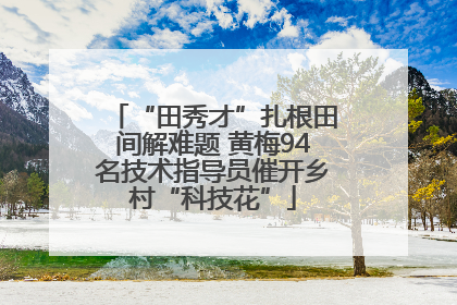 “田秀才”扎根田间解难题 黄梅94名技术指导员催开乡村“科技花”