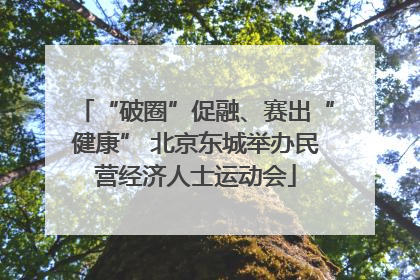 “破圈”促融、赛出“健康” 北京东城举办民营经济人士运动会