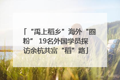 “禹上稻乡”海外“圈粉” 19名外国学员探访余杭共富“稻”路