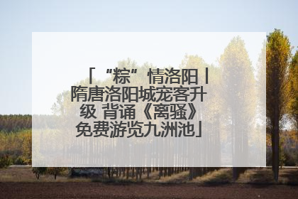 “粽”情洛阳丨隋唐洛阳城宠客升级 背诵《离骚》免费游览九洲池