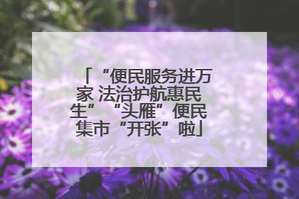 “便民服务进万家 法治护航惠民生”“头雁”便民集市“开张”啦