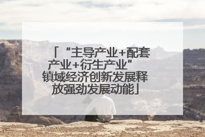 “主导产业+配套产业+衍生产业” 镇域经济创新发展释放强劲发展动能