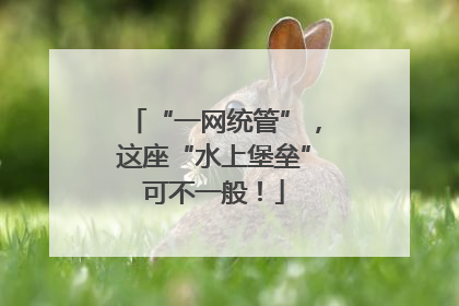 “一网统管”，这座“水上堡垒”可不一般！