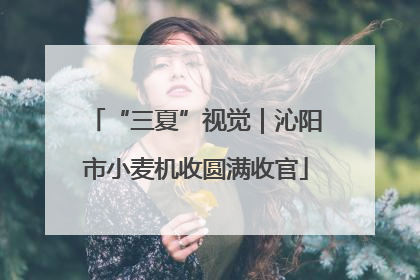 “三夏”视觉｜沁阳市小麦机收圆满收官