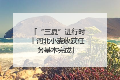 “三夏”进行时丨河北小麦收获任务基本完成
