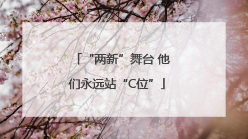 “两新”舞台 他们永远站“C位”
