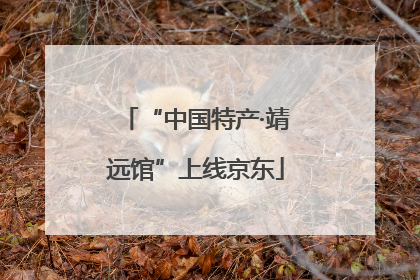 “中国特产·靖远馆”上线京东