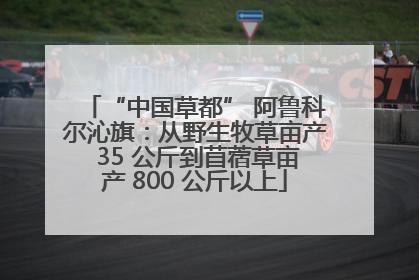 “中国草都” 阿鲁科尔沁旗：从野生牧草亩产 35 公斤到苜蓿草亩产 800 公斤以上