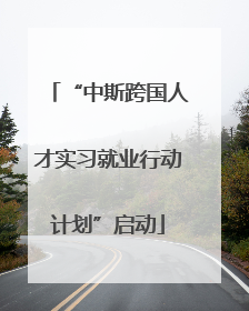 “中斯跨国人才实习就业行动计划”启动