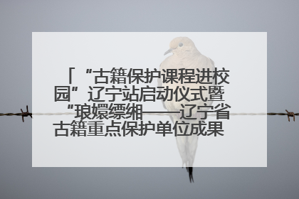“古籍保护课程进校园”辽宁站启动仪式暨“琅嬛缥缃——辽宁省古籍重点保护单位成果展”在辽宁大学举行