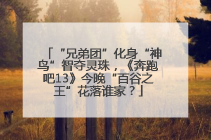 “兄弟团”化身“神鸟”智夺灵珠，《奔跑吧13》今晚“百谷之王”花落谁家？