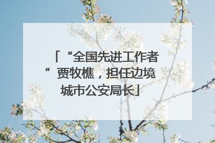 “全国先进工作者”贾牧樵，担任边境城市公安局长
