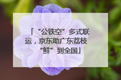 “公铁空”多式联运，京东助广东荔枝“鲜”到全国