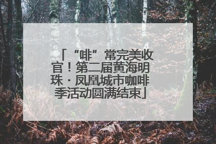 “啡”常完美收官！第二届黄海明珠・凤凰城市咖啡季活动圆满结束