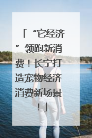 “它经济”领跑新消费！长宁打造宠物经济消费新场景！