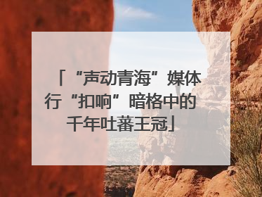 “声动青海”媒体行“扣响”暗格中的千年吐蕃王冠