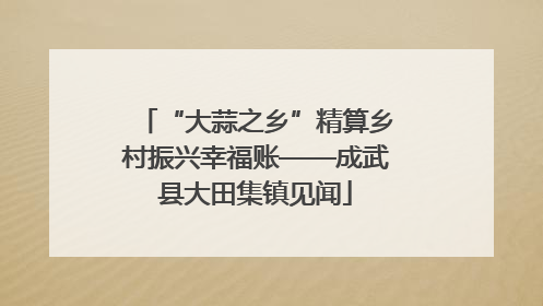 “大蒜之乡”精算乡村振兴幸福账——成武县大田集镇见闻