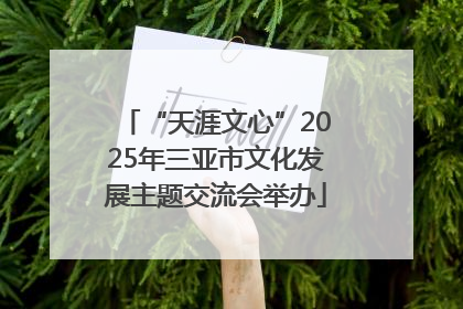 “天涯文心”2025年三亚市文化发展主题交流会举办