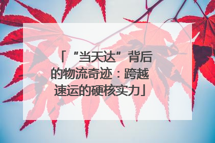 “当天达”背后的物流奇迹：跨越速运的硬核实力