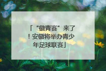 “徽青赛”来了！安徽将举办青少年足球联赛