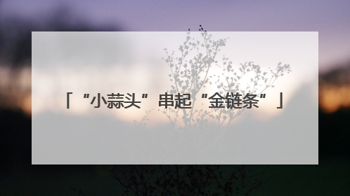 “小蒜头”串起“金链条”