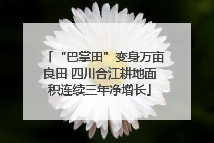 “巴掌田”变身万亩良田 四川合江耕地面积连续三年净增长