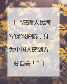 “感谢人民海军保驾护航，身为中国人感到万分自豪！”
