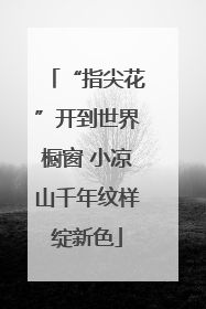“指尖花”开到世界橱窗 小凉山千年纹样绽新色