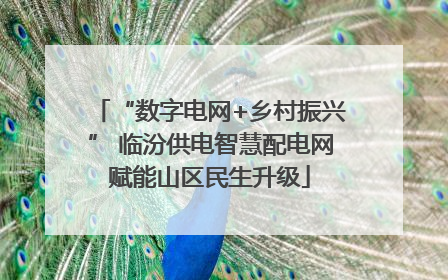 “数字电网+乡村振兴” 临汾供电智慧配电网赋能山区民生升级