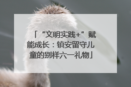 “文明实践+”赋能成长：镇安留守儿童的别样六一礼物