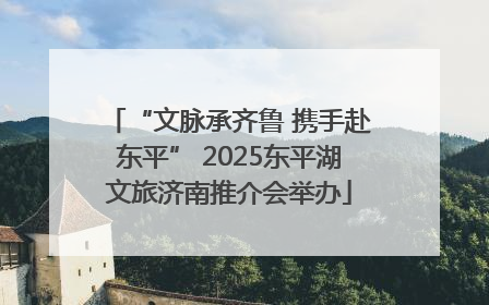 “文脉承齐鲁 携手赴东平” 2025东平湖文旅济南推介会举办