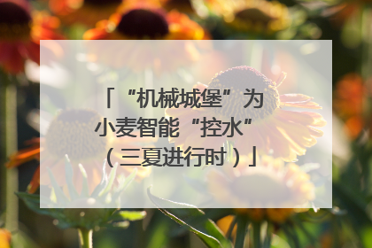 “机械城堡”为小麦智能“控水”（三夏进行时）