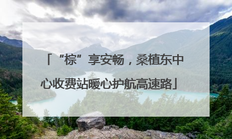 “棕”享安畅，桑植东中心收费站暖心护航高速路