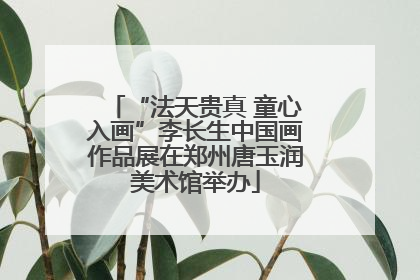 “法天贵真 童心入画”李长生中国画作品展在郑州唐玉润美术馆举办