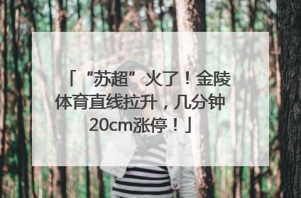 “苏超”火了！金陵体育直线拉升，几分钟20cm涨停！