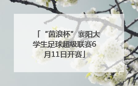 “茵浪杯”襄阳大学生足球超级联赛6月11日开赛